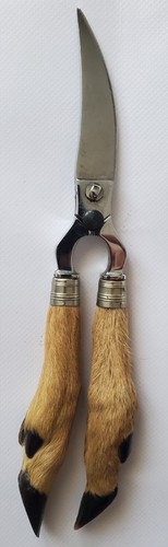Ciseaux volaille cuisine - ciseaux, a