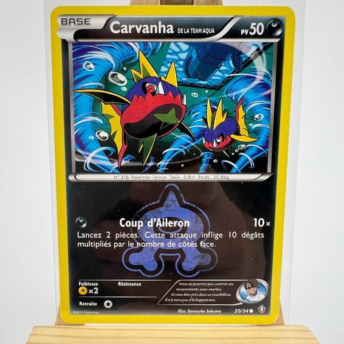 Carvanha team aqua 20 - team, 20/34