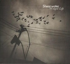 Winged Life, Shearwater