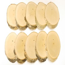 10 Pièce Bouleau Plaque