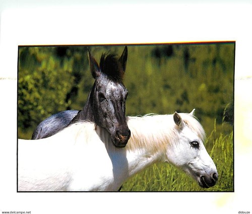 Carte postale format - carte,