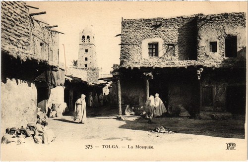 Cpa algeria tolga la - ak,