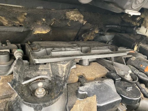 Boite air peugeot 5008 1 - 5008,