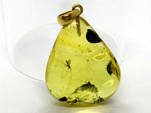 Pendentif ambre avec - , goutte