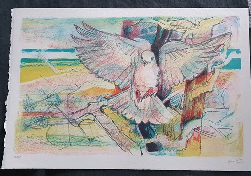 Colombe paul ambille - paul,
