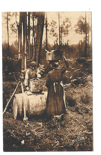 Dans les landes de - dans,