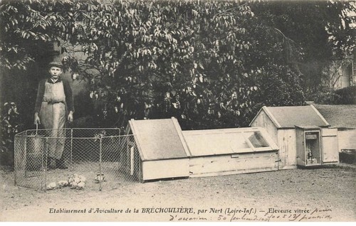 Brechouliere pres nort - 44,