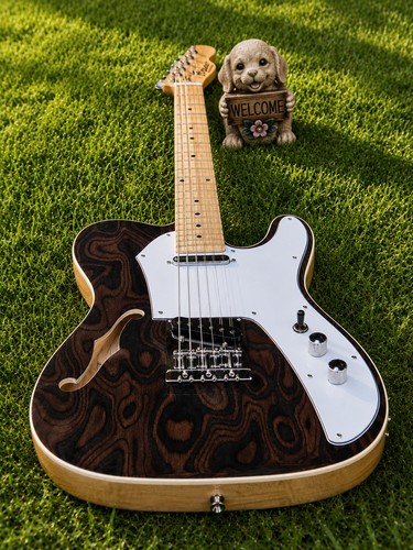 Semi hollow guitar - semi-hollow, exotic