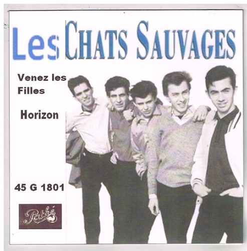 Les chats sauvages venez - ,
