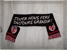 Echarpe Supporter Stade