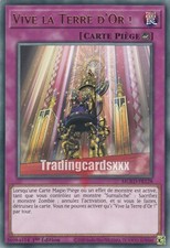 Yu-Gi-Oh! Vive la Terre d'Or ! : R MGED-FR128