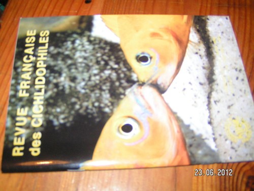 Revue sur cichlidés 257 - revue,