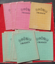 Lot de 12 Cahiers Ecolier