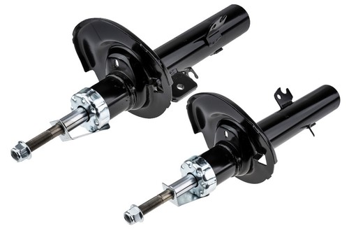 Amortisseur avant - x2,