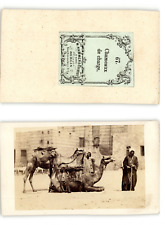 Egypte, Hammerschmidt Vintage