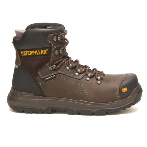 Caterpillar diagnostic 0 - caterpillar,