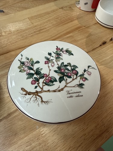 Villeroy boch botanica - &,