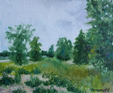 Paysage Matin d’été