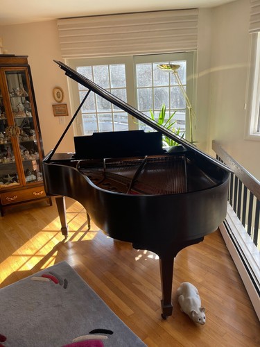 1929 steinway baby grand piano - grand,