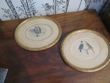 ancienne gravure d'oiseau