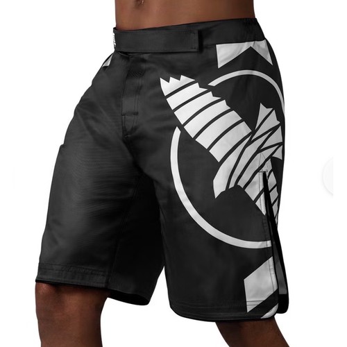 Hayabusa icon fight - hayabusa,