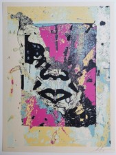 Shepard Fairey Enhanced