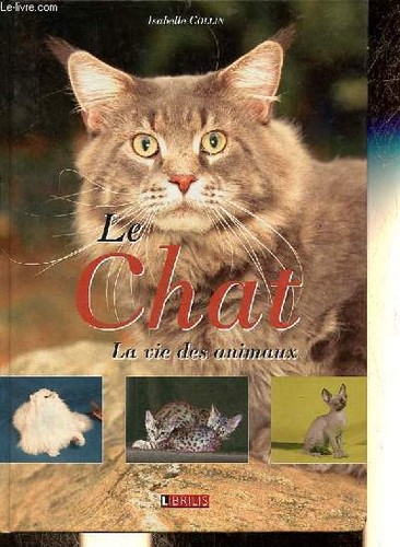 Chat vie des animaux - la,