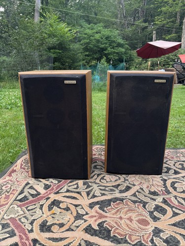 Pair vintage pioneer - pair, of