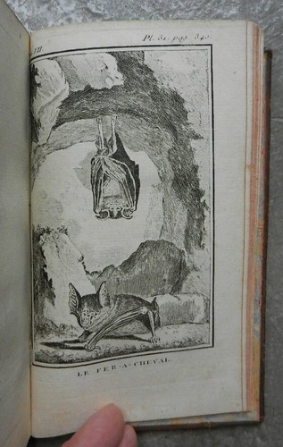 Histoire naturelle générale
