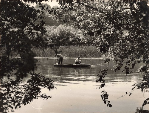 Ancienne photographie 1959 - ancienne,