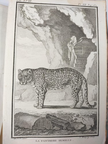 Buffon histoire naturelle - histoire,