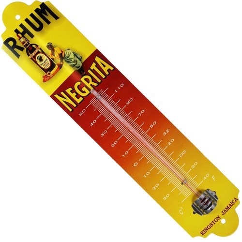 Thermomètre métal bombé