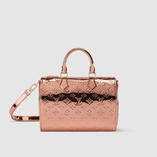 Louis Vuitton Speedy