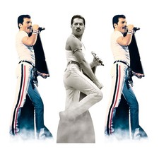 Freddie Mercury Découpe En