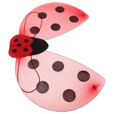  Ailes de coccinelle de
