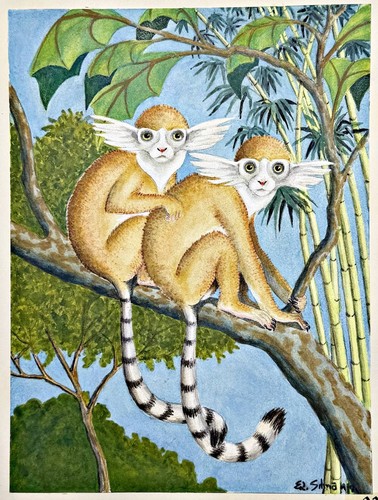 Büschelohr chats maki - maki, lemurs