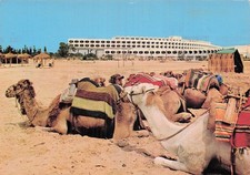 TUNISIE HAMMAMET HOTEL