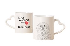 Bichon havanais tasse avec