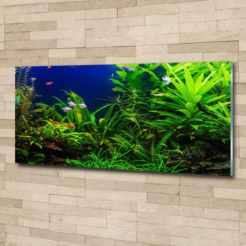 Tulup image sur verre trempé - sur,
