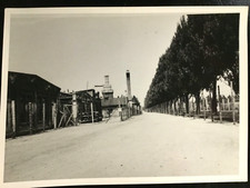 Photo Presse ww2 : Holocauste - Dachau - Allée du Crématoire - Block 24