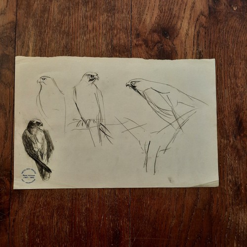 Dessin ancien animalier - dessin,