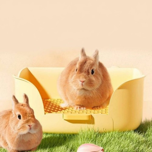Bac toilette lapin - bac, bords