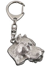 Dogue Argentin, Dogo Argentin