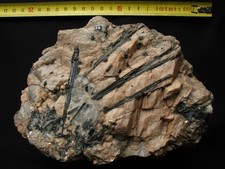 Aiguilles de tourmaline sur micaschiste et quartz