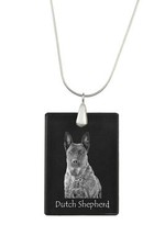Chien de Berger Hollandais