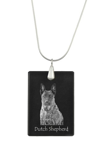 Chien berger hollandais - chien, de