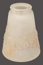 Tulipe MULLER Frères