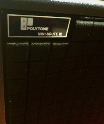 Polytone mini brute 100w - polytone, iv