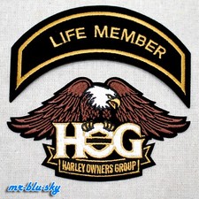 Small Eagle & Life Member Gold