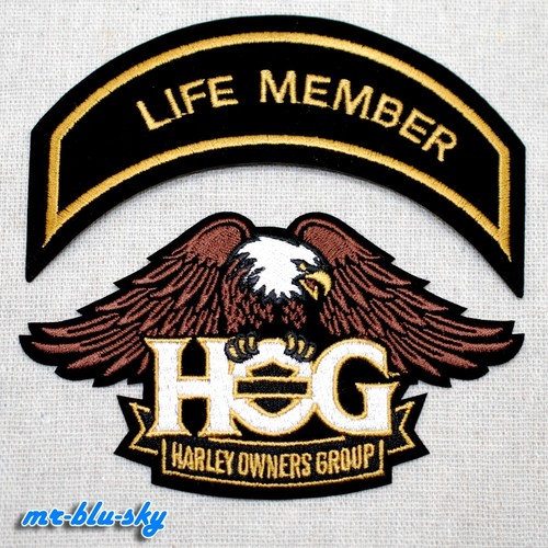 Small eagle life member gold - eagle,